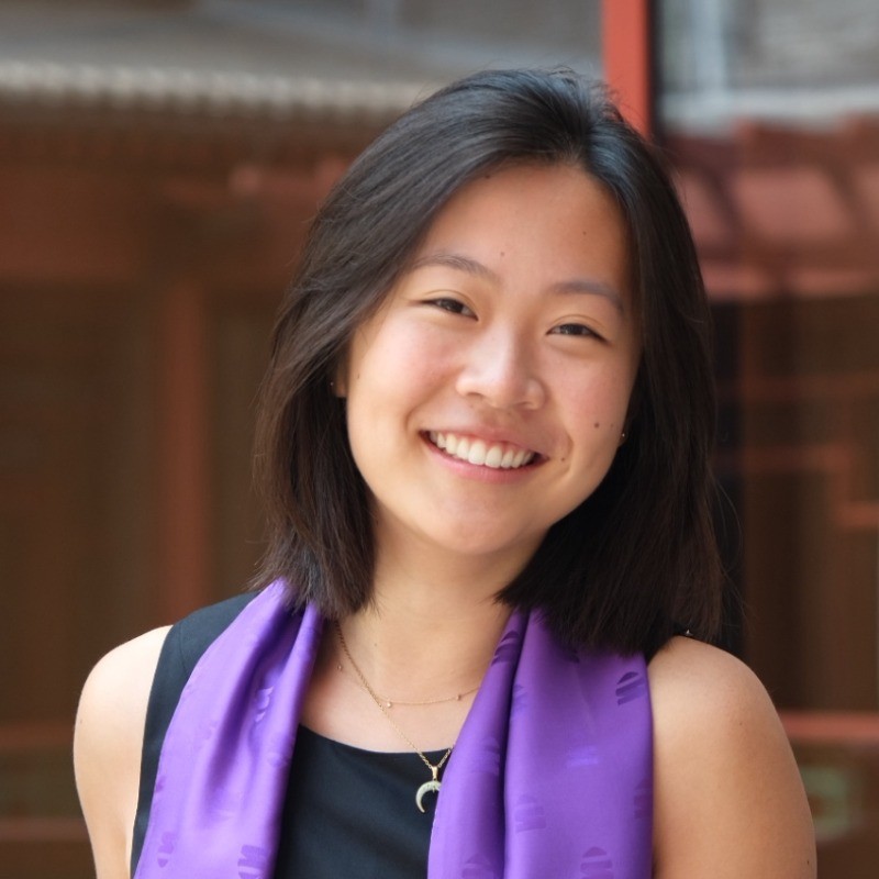 Contributor - Development Finance