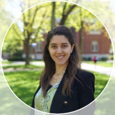 Core Contributor - Co-Develop